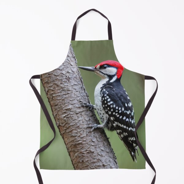 Item preview, Red Cockaded Woodpecker at Work designed and sold by laguitan10.
