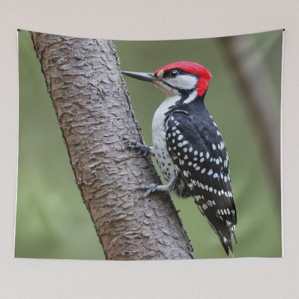 Item preview, Red Cockaded Woodpecker at Work designed and sold by laguitan10.
