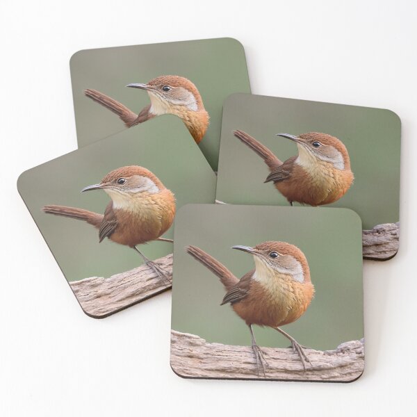 Item preview, Beautiful North American Canyon Wren  designed and sold by laguitan10.