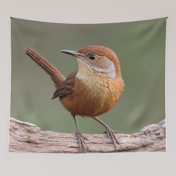 Item preview, Beautiful North American Canyon Wren  designed and sold by laguitan10.