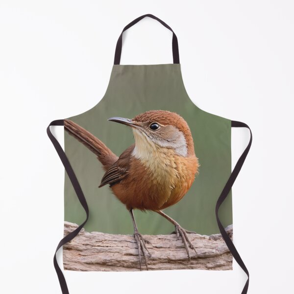Item preview, Beautiful North American Canyon Wren designed and sold by laguitan10.