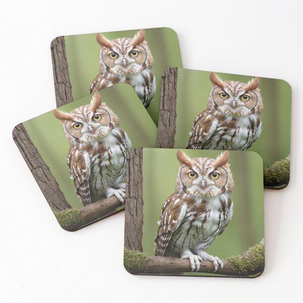 Item preview, Eastern Screech Owl on a Branch designed and sold by laguitan10.