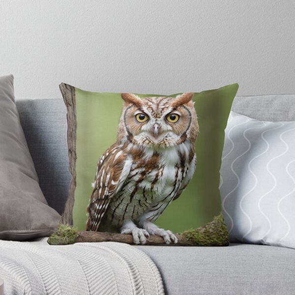 Item preview, Eastern Screech Owl on a Branch designed and sold by laguitan10.