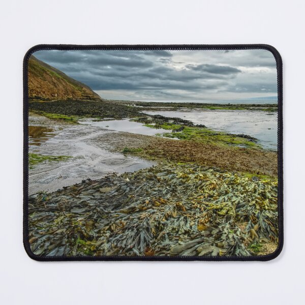 Item preview, Filey Brigg Seaweed designed and sold by Alisonchambers2.