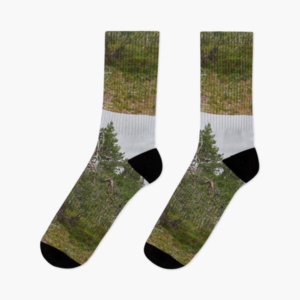 Item preview, Iisakkipaa pine top dead designed and sold by Jouko Lehto Photography.