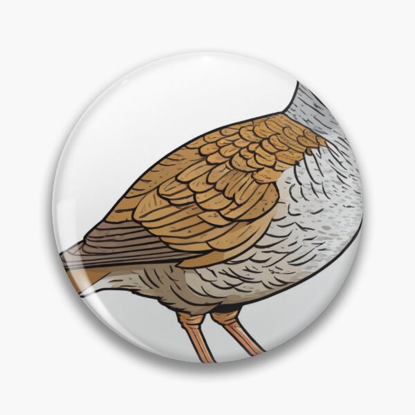 Item preview, Common Rock Partridge Drawing designed and sold by laguitan10.
