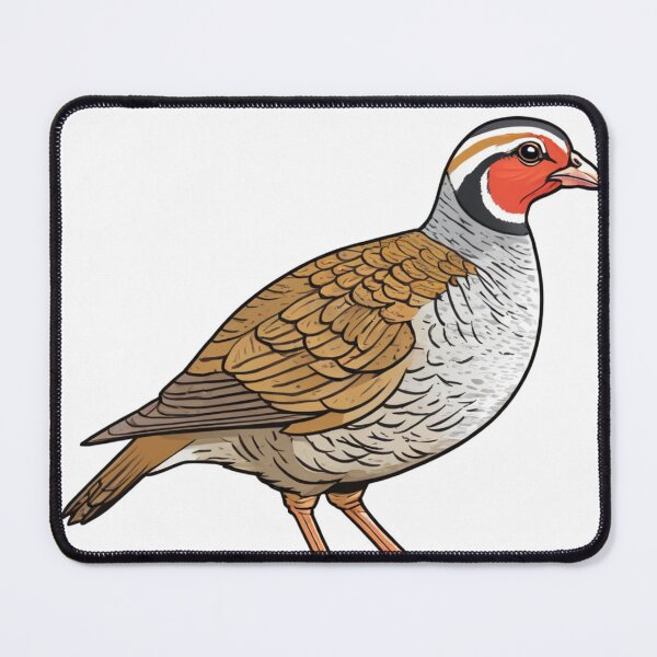 Item preview, Common Rock Partridge Drawing designed and sold by laguitan10.