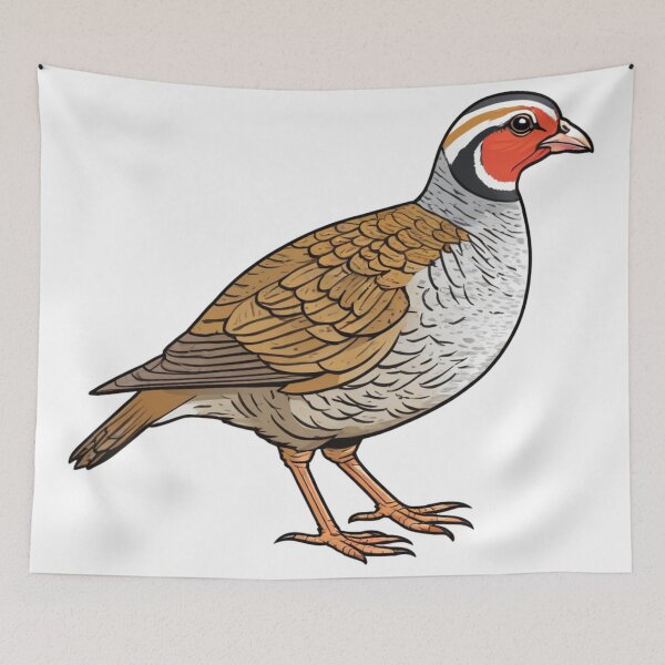 Item preview, Common Rock Partridge Drawing designed and sold by laguitan10.