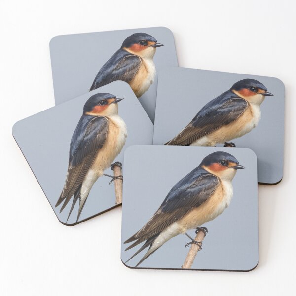 Item preview, Japanese Red Rumped Swallow designed and sold by laguitan10.