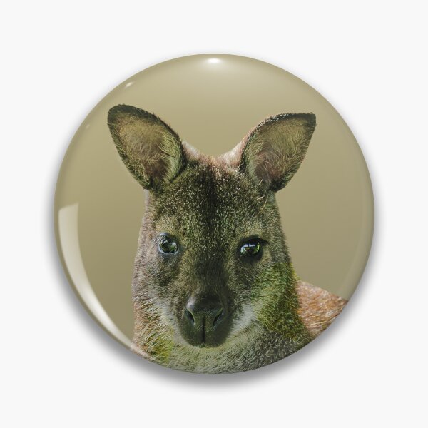 Item preview, Wallaby just sat sitting! designed and sold by Dalyndigital Photography.