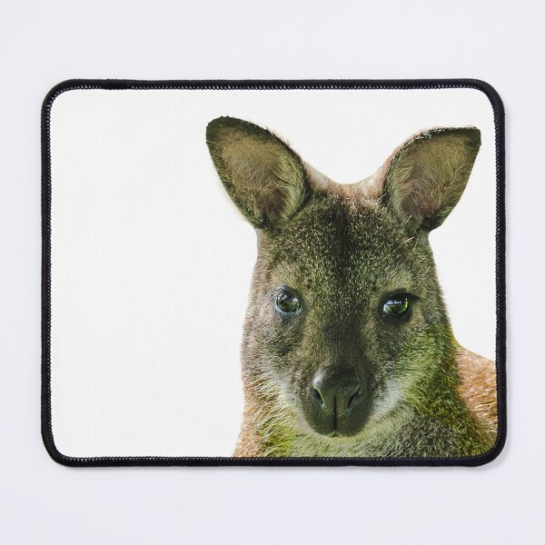 Item preview, Wallaby just sat sitting! designed and sold by Dalyndigital Photography.