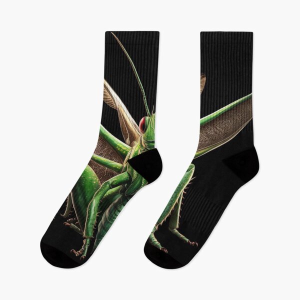 Item preview, Grasshopper designed and sold by Marsik1982.
