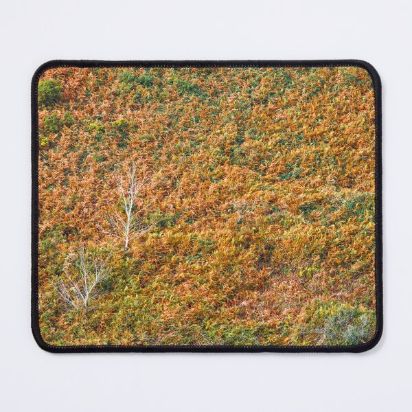 Item preview, Bleached autumn trees designed and sold by Zolachrome Photography.