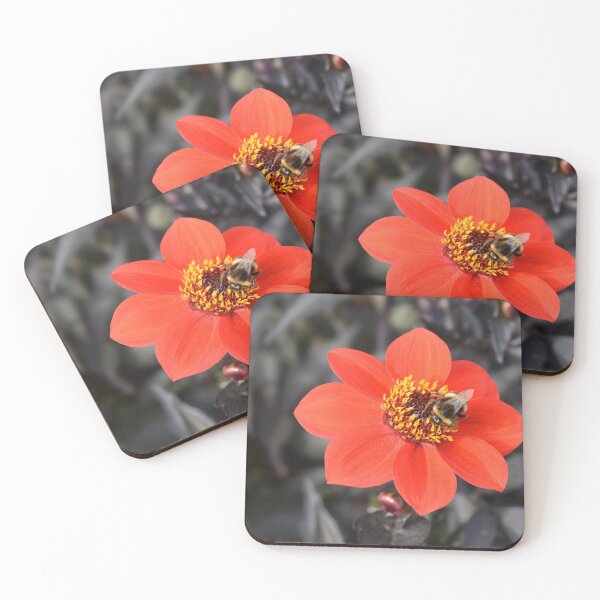 Item preview, Bee on red dahlia designed and sold by CatherineMoore4.
