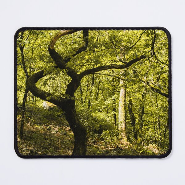 Item preview, Twisted tree designed and sold by Zolachrome Photography.
