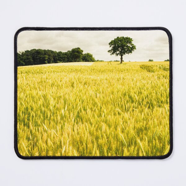 Item preview, Summer field designed and sold by Zolachrome Photography.