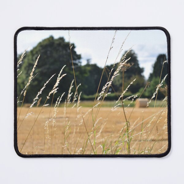 Item preview, Harvestested field and grasses catching sunlight designed and sold by CatherineMoore4.