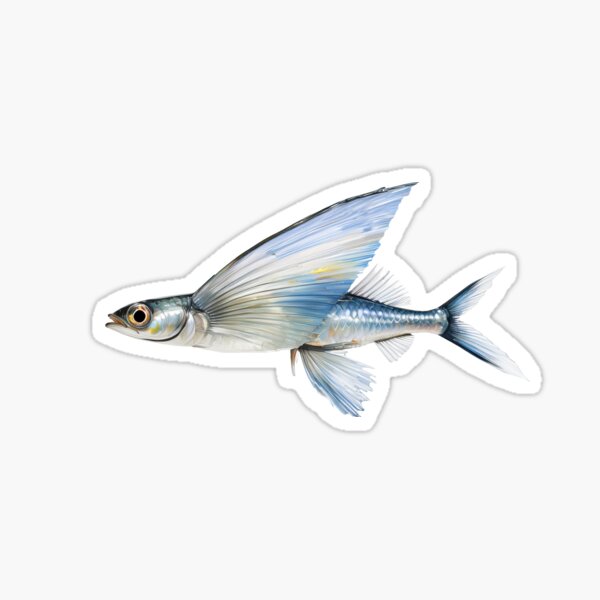 Item preview, Flyingfish  has elongated pectoral fins spread wide like wings, glistening  designed and sold by wonderisland.