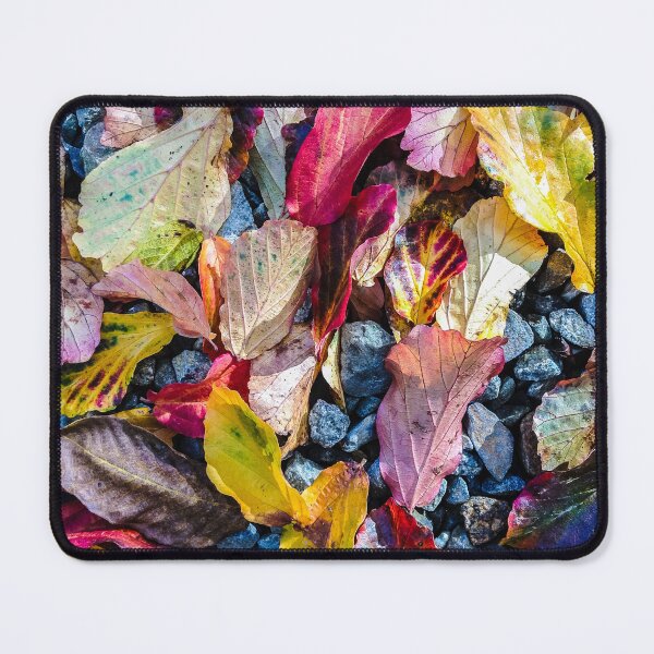 Item preview, Colourful leaves designed and sold by Zolachrome Photography.