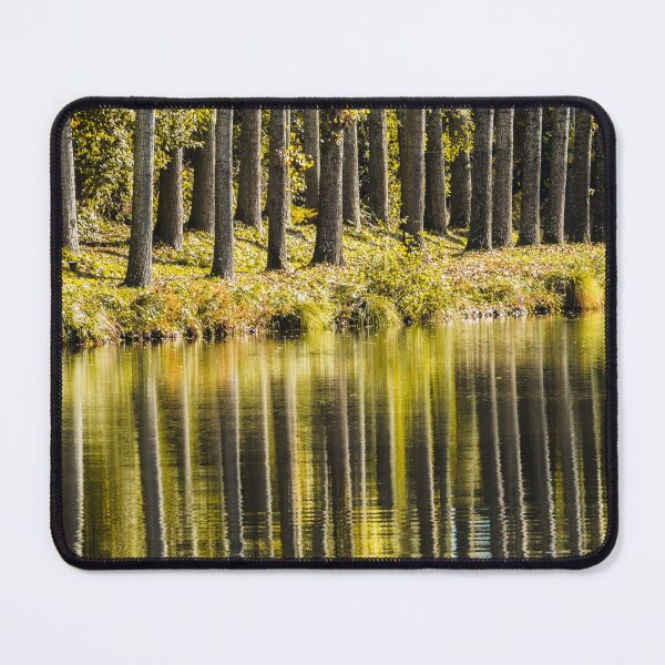 Item preview, Lakeside poplars designed and sold by Zolachrome Photography.