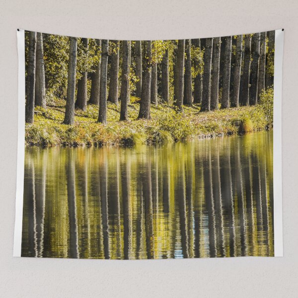 Item preview, Lakeside poplars designed and sold by Zolachrome Photography.