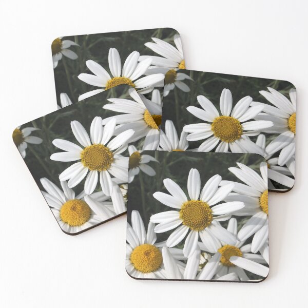 Item preview, Shasta Daisy designed and sold by pinkal.