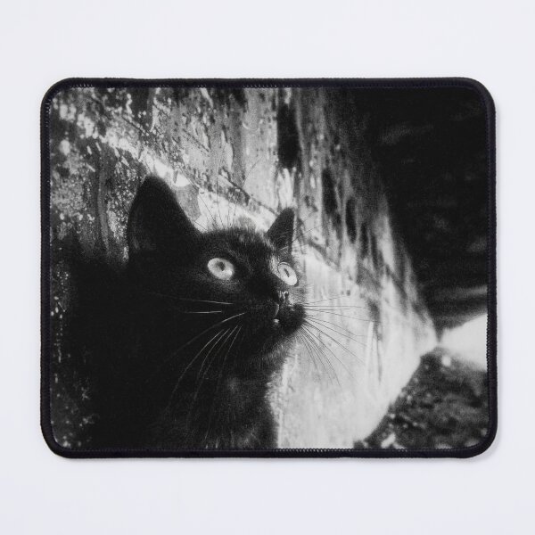 Item preview, Dark Kitten designed and sold by View From The Grave.