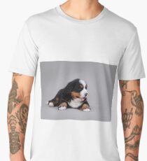 Bernese Mountain Dog puppy Men's Premium T-Shirt