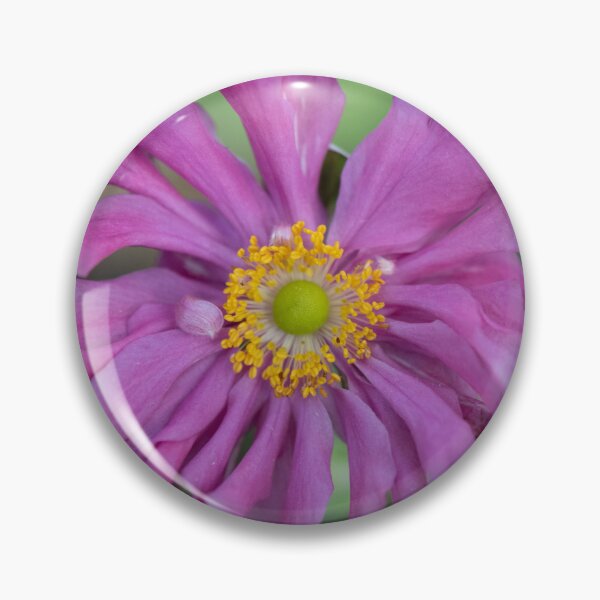 Item preview, Bright Pink Japanese Anemone designed and sold by imaginethis.