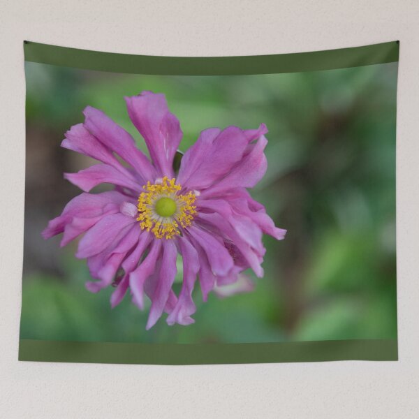 Item preview, Bright Pink Japanese Anemone designed and sold by imaginethis.