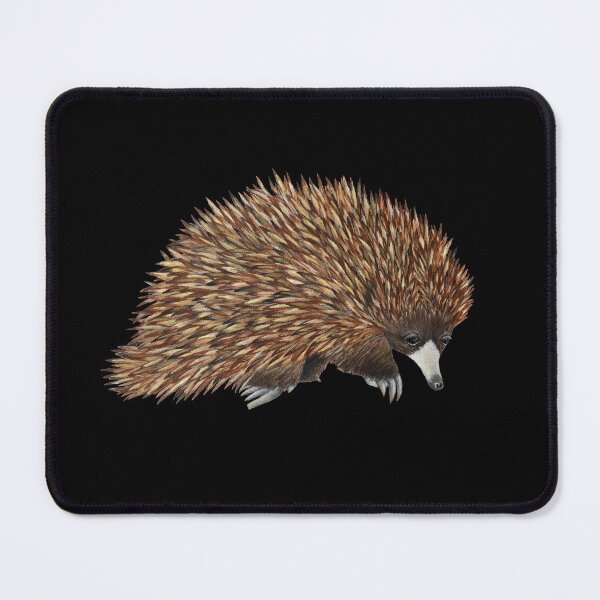 Item preview, Echidna designed and sold by Allyphotog.