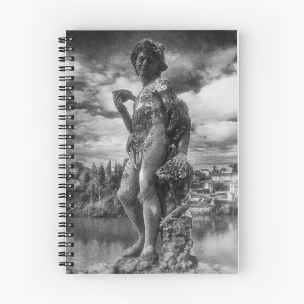 Item preview, Dionysus Bacchus designed and sold by View From The Grave.