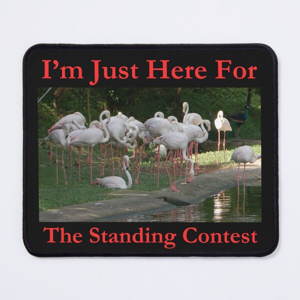 Item preview, I'm Just Here For The Standing Contest Wild Flamingos Classic Black Tee designed and sold by GeekySexyCool.