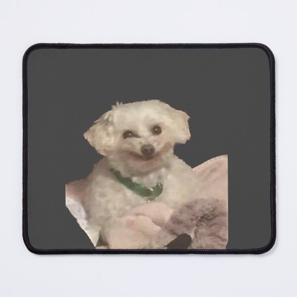 Item preview, Awkward smiling dog meme designed and sold by Ratcatdoggg.