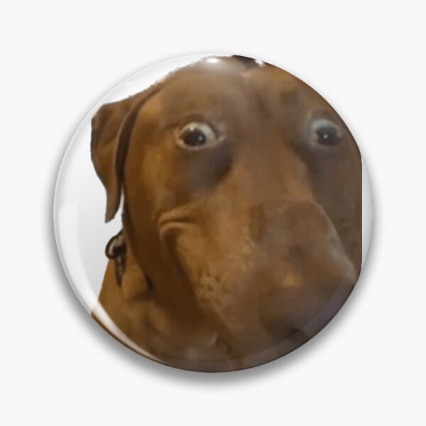Item preview, Crazy looking dog designed and sold by Ratcatdoggg.