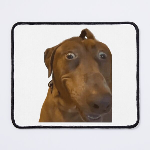 Item preview, Crazy looking dog designed and sold by Ratcatdoggg.