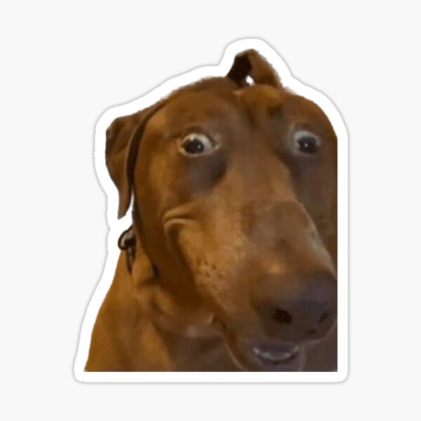 Item preview, Crazy looking dog designed and sold by Ratcatdoggg.