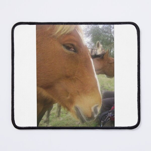 Item preview, Side eye horse designed and sold by Ratcatdoggg.