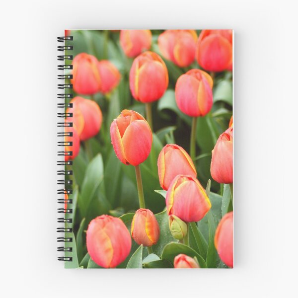Item preview, Apricot Tulips in a Field designed and sold by imaginethis.