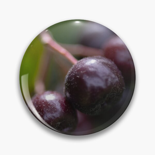 Item preview, Aronia designed and sold by Calidris Fotografie Steffi & Ben Köppler.