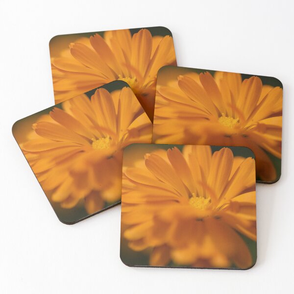 Item preview, Calendula designed and sold by Calidris Fotografie Steffi & Ben Köppler.