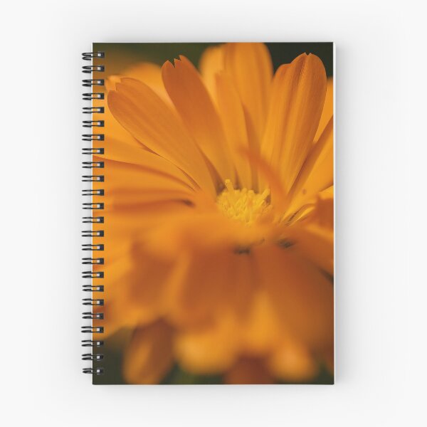 Item preview, Calendula designed and sold by Calidris Fotografie Steffi & Ben Köppler.