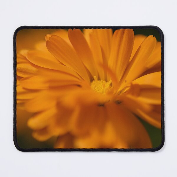 Item preview, Calendula designed and sold by Calidris Fotografie Steffi & Ben Köppler.
