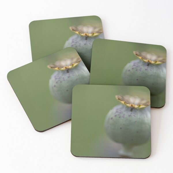 Item preview, Poppy designed and sold by Calidris Fotografie Steffi & Ben Köppler.