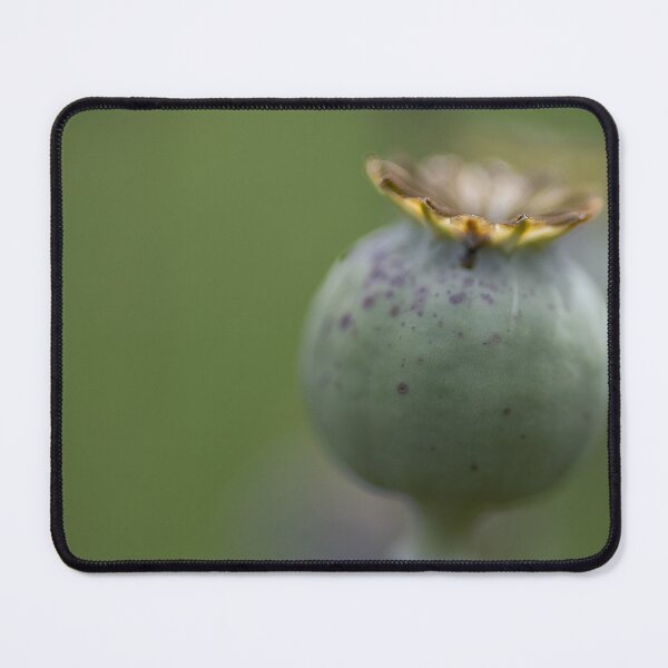 Item preview, Poppy designed and sold by Calidris Fotografie Steffi & Ben Köppler.