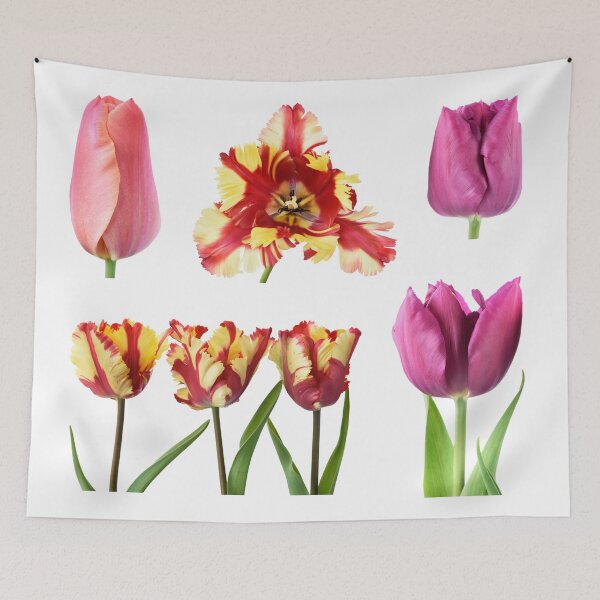 Item preview, Tulips mixed designed and sold by Chris Burrows.