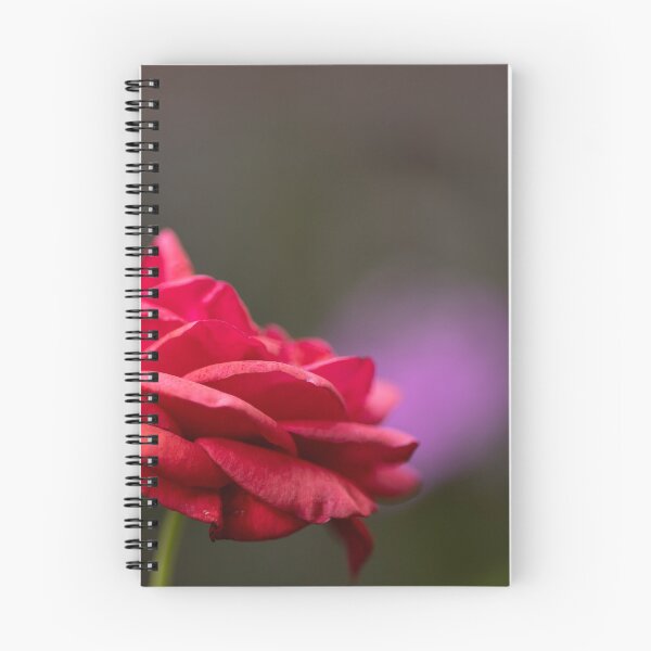 Item preview, Red Rose designed and sold by Calidris Fotografie Steffi & Ben Köppler.