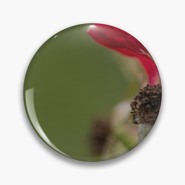 Item preview, Rose designed and sold by Calidris Fotografie Steffi & Ben Köppler.