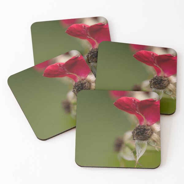 Item preview, Rose designed and sold by Calidris Fotografie Steffi & Ben Köppler.