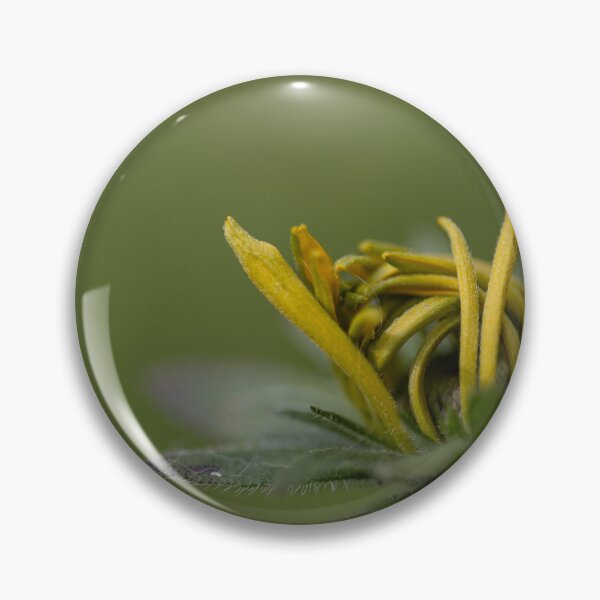 Item preview, Black-eyed Susan designed and sold by Calidris Fotografie Steffi & Ben Köppler.